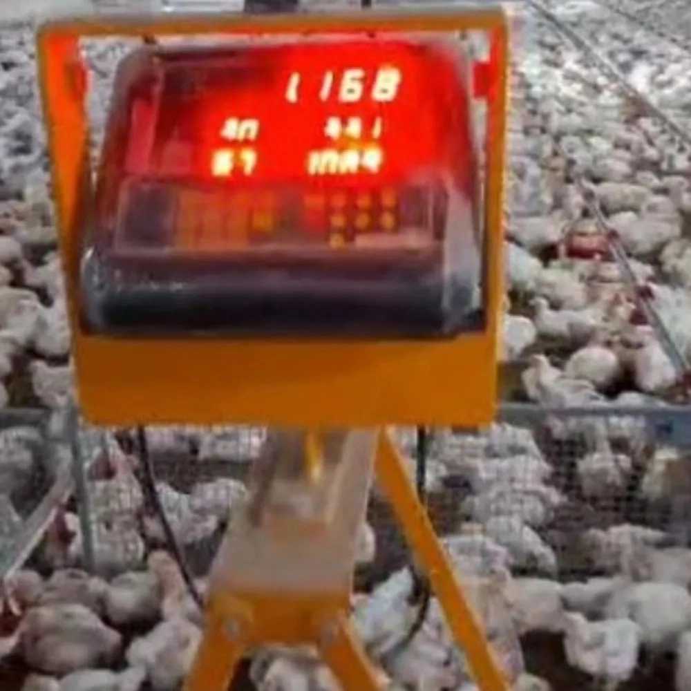 1762082640898.webp 1762082640898.webp